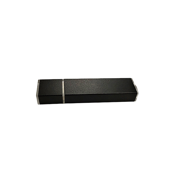 High speed usb2.0 usb3.0 Strip shaped pendrive 8gb LWU1092